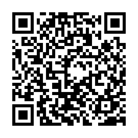 QR code for PMI31T