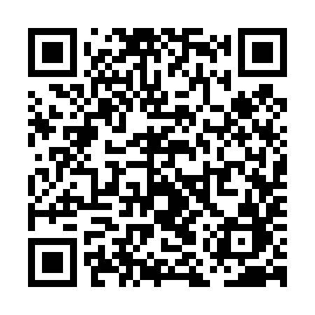 QR code for PMS49B