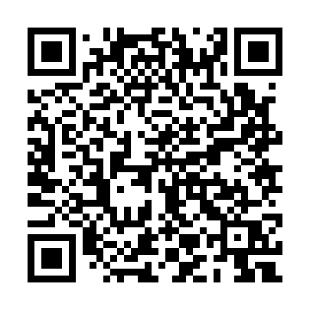 QR code for PMZ17Q