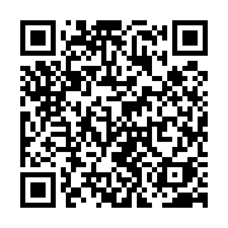 QR code for POI53I