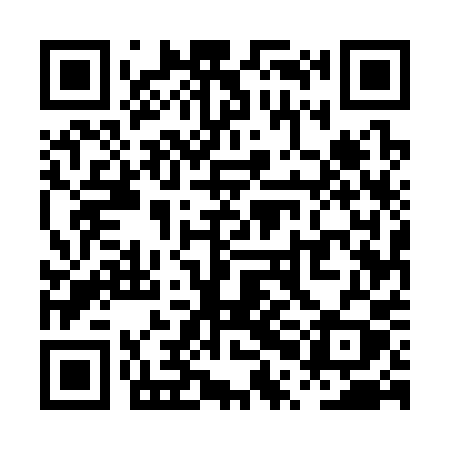 QR code for PPE30Y