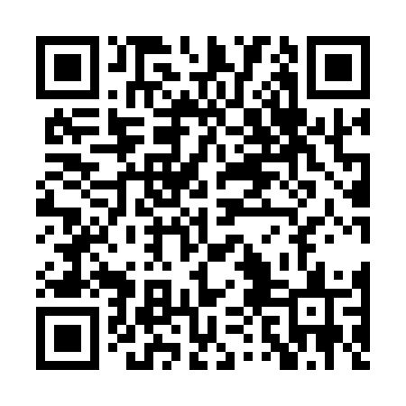 QR code for PPI17S