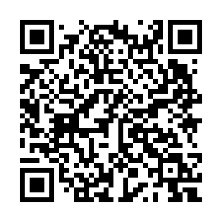 QR code for PPI63L