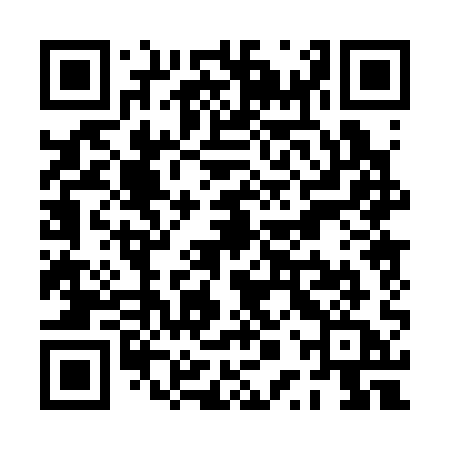 QR code for PPP31A