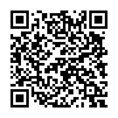 QR code for PPT43D