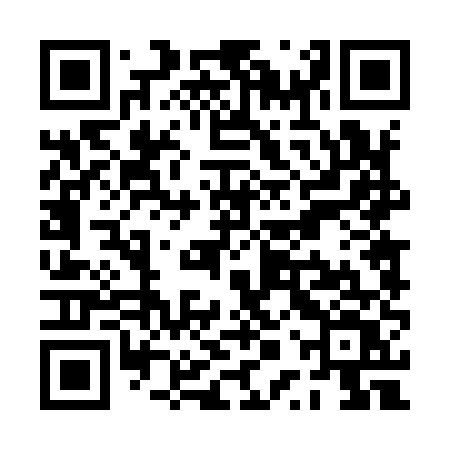QR code for PPT95V