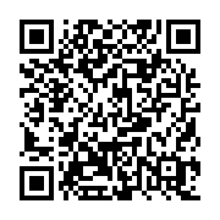 QR code for PTQ13G