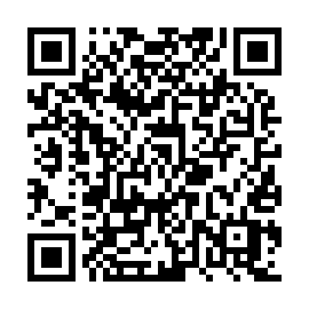 QR code for PTV95T
