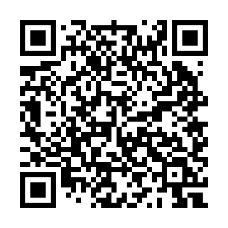 QR code for PYG28L