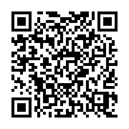 QR code for PYN81S