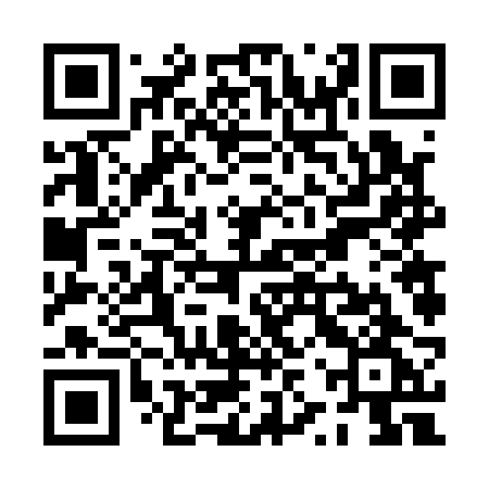QR code for PZV12G