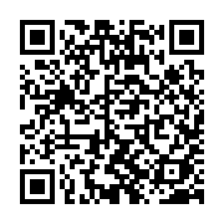 QR code for PZV39I