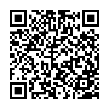 QR code for Q11AMR