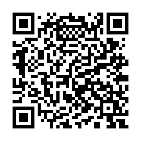 QR code for Q13VLU
