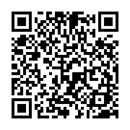 QR code for Q15INI