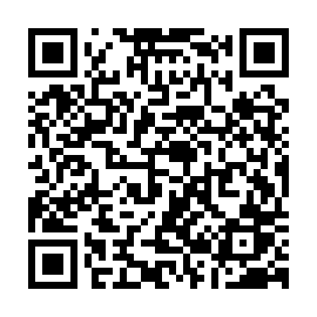 QR code for Q29APR