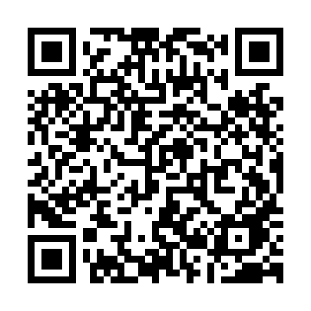 QR code for Q29LHE