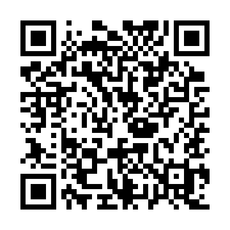 QR code for Q29SYI