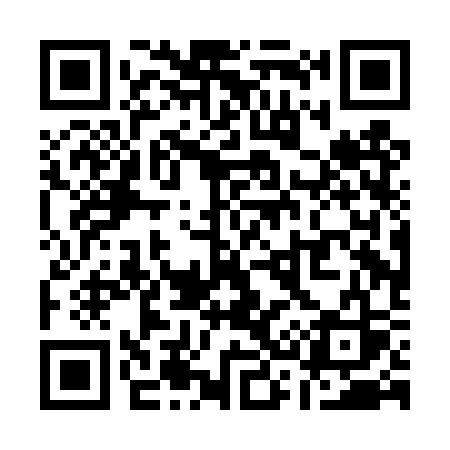 QR code for Q30DSS