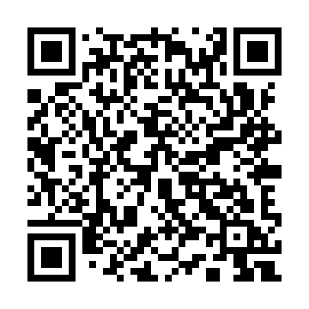 QR code for Q38YYC