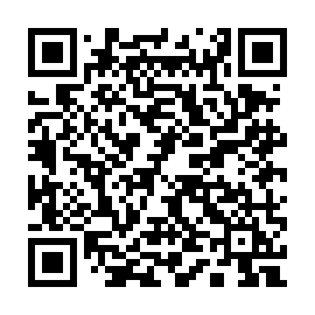 QR code for Q41DMI