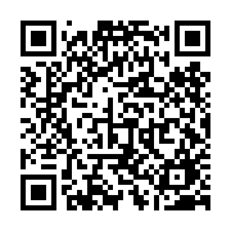 QR code for Q46DAG