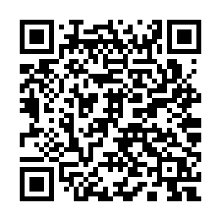 QR code for Q46SPP