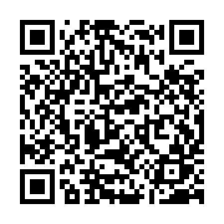 QR code for Q51IIR