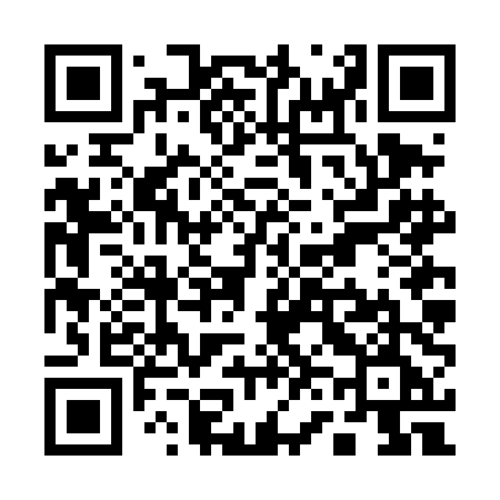 QR code for Q66DDE