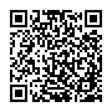 QR code for Q81ENG