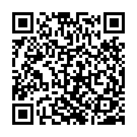 QR code for Q81LDX