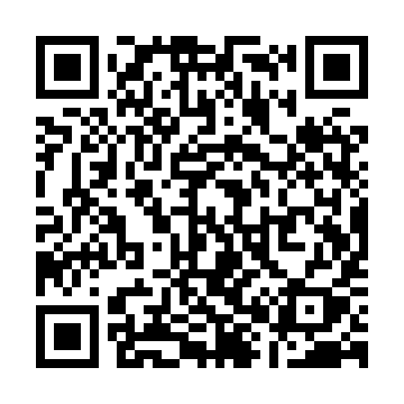 QR code for Q81XYY