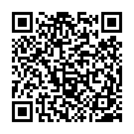 QR code for Q91DVS