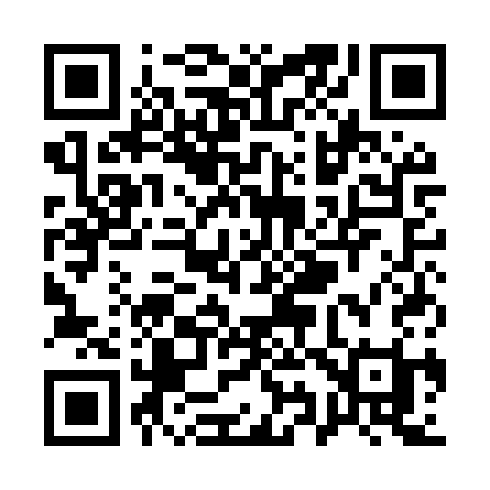 QR code for Q91MSI