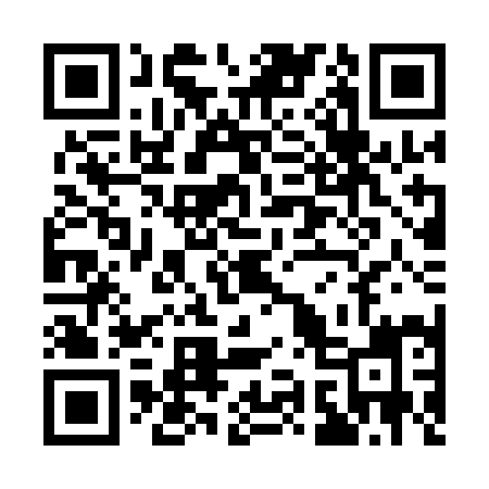 QR code for Q91QII