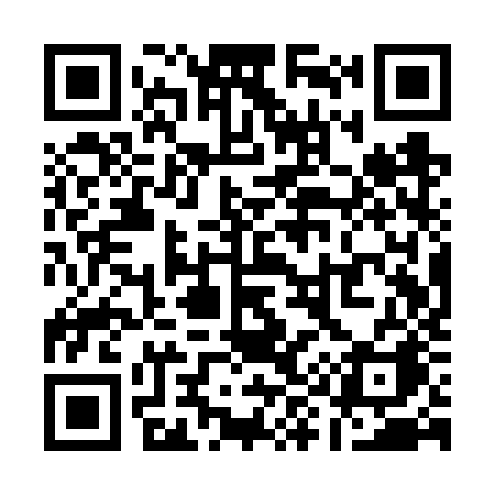 QR code for Q91VZA