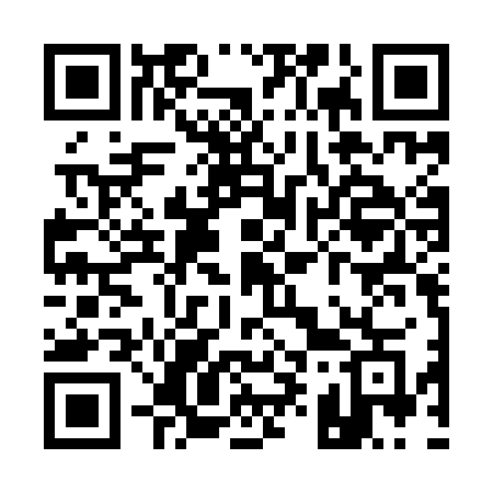 QR code for Q95IJG