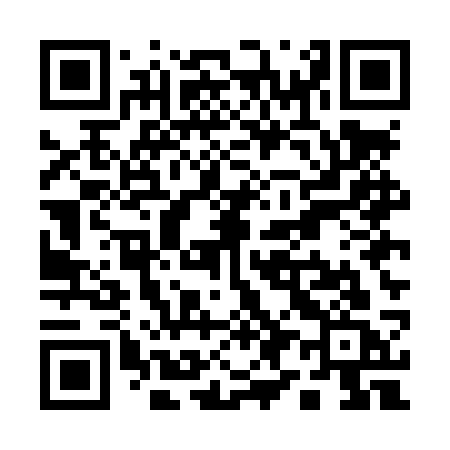 QR code for Q95LSC