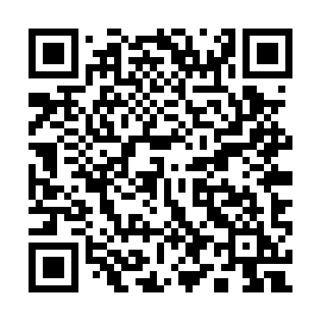 QR code for Q95PYI