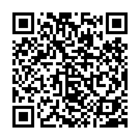 QR code for Q95TCI