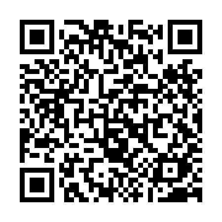 QR code for Q96LIM