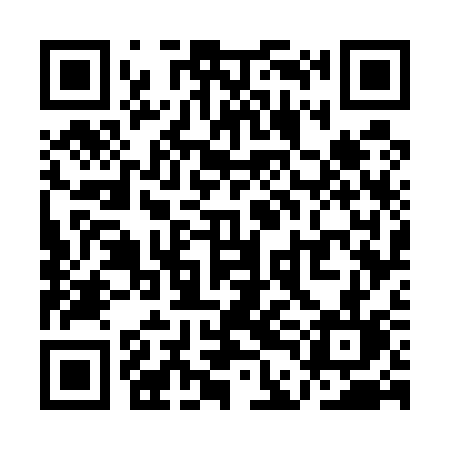 QR code for QDG53L