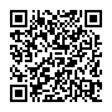 QR code for QDP29A