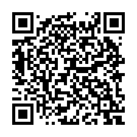 QR code for QFI29M