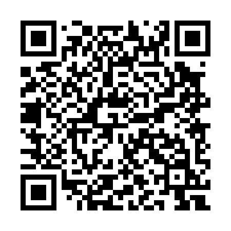 QR code for QLP09N
