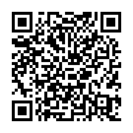 QR code for QLT96A