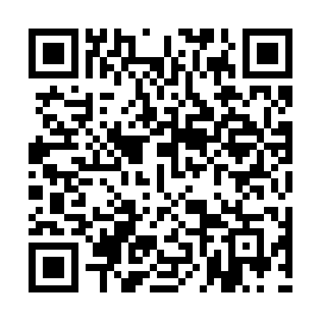 QR code for QNI20G
