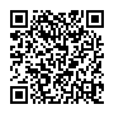 QR code for QNL13I