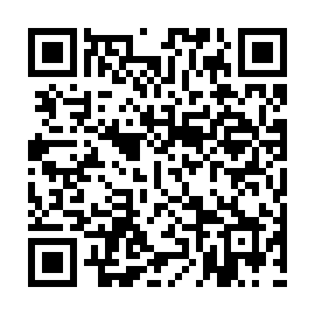 QR code for QNO29X