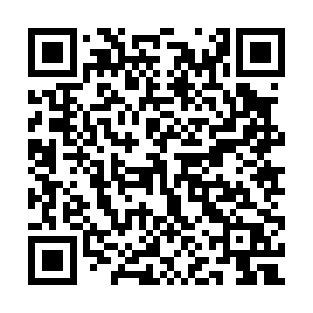 QR code for QNZ00P